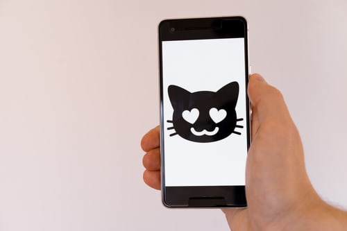 Gala spy app